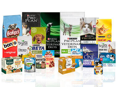 Nestle purina cat outlet food